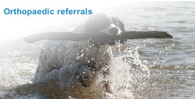 Orthopaedic referrals
