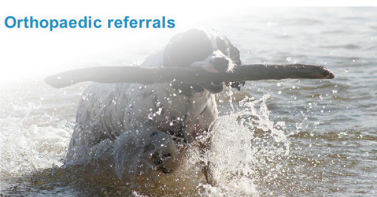 Orthopaedic referrals
