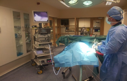 Referral, Greenmount, Veterinary, vet, disc, disease, prolapse, Orthopaedic, orthopedic, specialist, clinic, fractures, joint, surgery, arthroscopy, endoscopy, spinal, northern, ireland, OCD, FCP, TPO, cruciate ligament, tplo, hip, dysplasia, dislocation, medial, patellar, luxation, broken, leg, wobbler, caudal cervical spondylopathy, lumbar, paralysis,ACL, anterior cruciate ligament rupture, dislocated, dislocation, plating, pinning, external fixator, triple pelvic osteotomy, portadown, co armagh northern ireland, www.vetortho.co.uk, www.vetclinic.co.uk