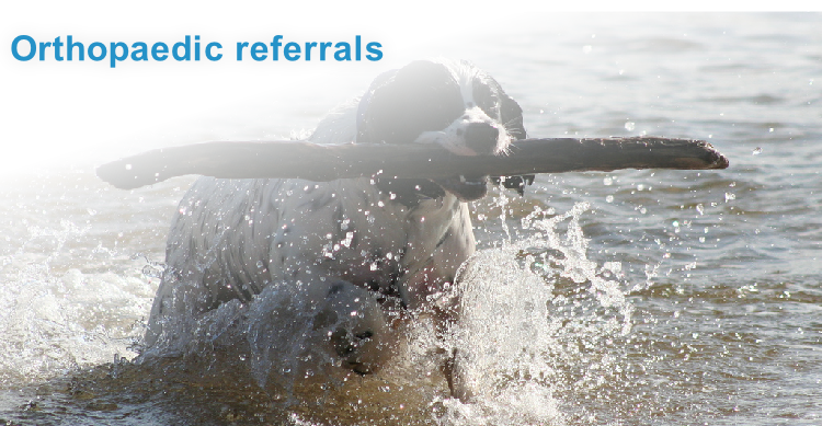 Orthopaedic referrals
