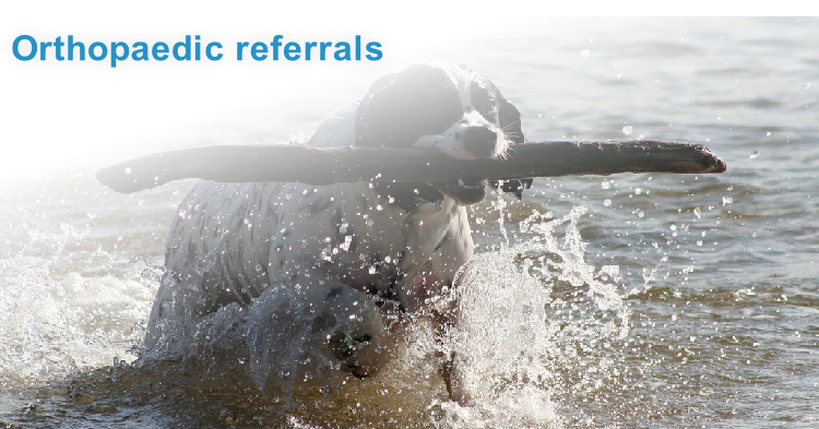 Orthopaedic referrals
