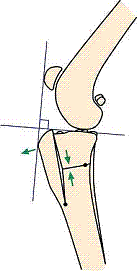 Referral, Greenmount, Veterinary, vet, disc, disease, prolapse, Orthopaedic, orthopedic, specialist, clinic, fractures, joint, surgery, arthroscopy, endoscopy, spinal, northern, ireland, OCD, FCP, TPO, cruciate ligament, tplo, hip, dysplasia, dislocation, medial, patellar, luxation, broken, leg, wobbler, caudal cervical spondylopathy, lumbar, paralysis,ACL, anterior cruciate ligament rupture, dislocated, dislocation, plating, pinning, external fixator, triple pelvic osteotomy, portadown, co armagh northern ireland, www.vetortho.co.uk, www.vetclinic.co.uk