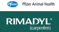 Referral, Greenmount, Veterinary, vet, disc, disease, prolapse, Orthopaedic, orthopedic, specialist, clinic, fractures, joint, surgery, arthroscopy, endoscopy, spinal, northern, ireland, OCD, FCP, TPO, cruciate ligament, tplo, hip, dysplasia, dislocation, medial, patellar, luxation, broken, leg, wobbler, caudal cervical spondylopathy, lumbar, paralysis,ACL, anterior cruciate ligament rupture, dislocated, dislocation, plating, pinning, external fixator, triple pelvic osteotomy, portadown, co armagh northern ireland, www.vetortho.co.uk, www.vetclinic.co.uk