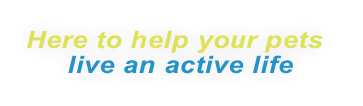 Here to help your pets
     live an active life
