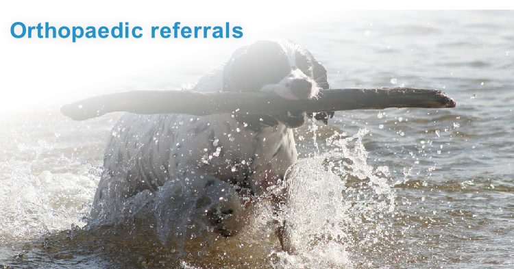 Orthopaedic referrals
