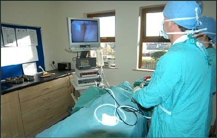 Referral, Greenmount, Veterinary, vet, disc, disease, prolapse, Orthopaedic, orthopedic, specialist, clinic, fractures, joint, surgery, arthroscopy, endoscopy, spinal, northern, ireland, OCD, FCP, TPO, cruciate ligament, tplo, hip, dysplasia, dislocation, medial, patellar, luxation, broken, leg, wobbler, caudal cervical spondylopathy, lumbar, paralysis,ACL, anterior cruciate ligament rupture, dislocated, dislocation, plating, pinning, external fixator, triple pelvic osteotomy, portadown, co armagh northern ireland, www.vetortho.co.uk, www.vetclinic.co.uk