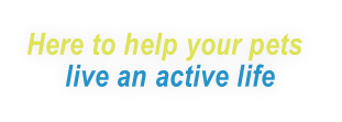 Here to help your pets
     live an active life

