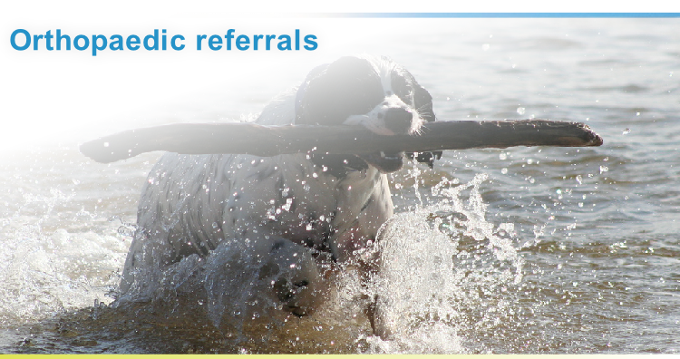 Orthopaedic referrals
