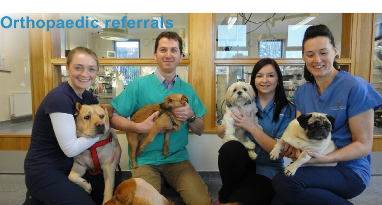 Orthopaedic referrals
