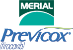 Referral, Greenmount, Veterinary, vet, disc, disease, prolapse, Orthopaedic, orthopedic, specialist, clinic, fractures, joint, surgery, arthroscopy, endoscopy, spinal, northern, ireland, OCD, FCP, TPO, cruciate ligament, tplo, hip, dysplasia, dislocation, medial, patellar, luxation, broken, leg, wobbler, caudal cervical spondylopathy, lumbar, paralysis,ACL, anterior cruciate ligament rupture, dislocated, dislocation, plating, pinning, external fixator, triple pelvic osteotomy, portadown, co armagh northern ireland, www.vetortho.co.uk, www.vetclinic.co.uk