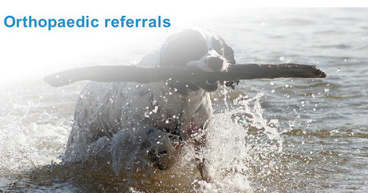 Orthopaedic referrals
