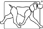 Referral, Greenmount, Veterinary, vet, disc, disease, prolapse, Orthopaedic, orthopedic, specialist, clinic, fractures, joint, surgery, arthroscopy, endoscopy, spinal, northern, ireland, OCD, FCP, TPO, cruciate ligament, tplo, hip, dysplasia, dislocation, medial, patellar, luxation, broken, leg, wobbler, caudal cervical spondylopathy, lumbar, paralysis,ACL, anterior cruciate ligament rupture, dislocated, dislocation, plating, pinning, external fixator, triple pelvic osteotomy, portadown, co armagh northern ireland, www.vetortho.co.uk, www.vetclinic.co.uk