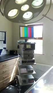 Referral, Greenmount, Veterinary, vet, disc, disease, prolapse, Orthopaedic, orthopedic, specialist, clinic, fractures, joint, surgery, arthroscopy, endoscopy, spinal, northern, ireland, OCD, FCP, TPO, cruciate ligament, tplo, hip, dysplasia, dislocation, medial, patellar, luxation, broken, leg, wobbler, caudal cervical spondylopathy, lumbar, paralysis,ACL, anterior cruciate ligament rupture, dislocated, dislocation, plating, pinning, external fixator, triple pelvic osteotomy, portadown, co armagh northern ireland, www.vetortho.co.uk, www.vetclinic.co.uk