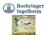 Referral, Greenmount, Veterinary, vet, disc, disease, prolapse, Orthopaedic, orthopedic, specialist, clinic, fractures, joint, surgery, arthroscopy, endoscopy, spinal, northern, ireland, OCD, FCP, TPO, cruciate ligament, tplo, hip, dysplasia, dislocation, medial, patellar, luxation, broken, leg, wobbler, caudal cervical spondylopathy, lumbar, paralysis,ACL, anterior cruciate ligament rupture, dislocated, dislocation, plating, pinning, external fixator, triple pelvic osteotomy, portadown, co armagh northern ireland, www.vetortho.co.uk, www.vetclinic.co.uk