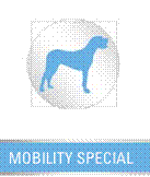 Referral, Greenmount, Veterinary, vet, disc, disease, prolapse, Orthopaedic, orthopedic, specialist, clinic, fractures, joint, surgery, arthroscopy, endoscopy, spinal, northern, ireland, OCD, FCP, TPO, cruciate ligament, tplo, hip, dysplasia, dislocation, medial, patellar, luxation, broken, leg, wobbler, caudal cervical spondylopathy, lumbar, paralysis,ACL, anterior cruciate ligament rupture, dislocated, dislocation, plating, pinning, external fixator, triple pelvic osteotomy, portadown, co armagh northern ireland, www.vetortho.co.uk, www.vetclinic.co.uk