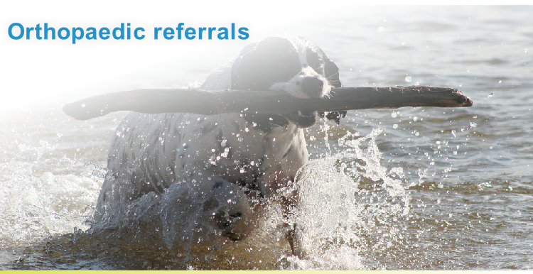 Orthopaedic referrals
