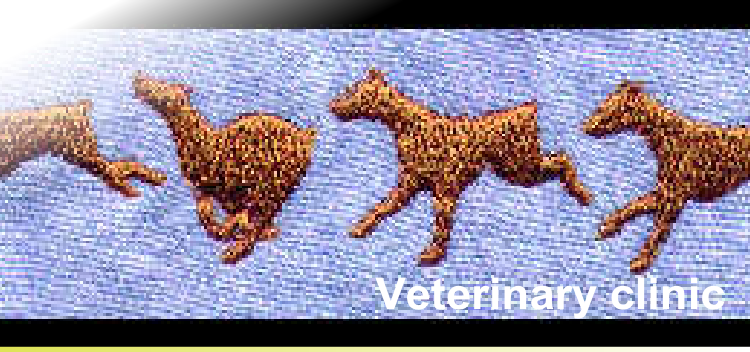 Veterinary clinic
