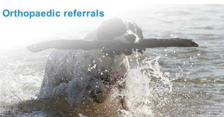 Orthopaedic referrals
