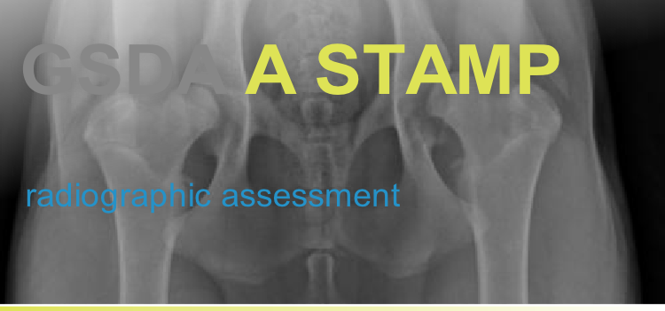 Referral, Greenmount, Veterinary, vet, disc, disease, prolapse, Orthopaedic, orthopedic, specialist, clinic, fractures, joint, surgery, arthroscopy, endoscopy, spinal, northern, ireland, OCD, FCP, TPO, cruciate ligament, tplo, hip, dysplasia, dislocation, medial, patellar, luxation, broken, leg, wobbler, caudal cervical spondylopathy, lumbar, paralysis,ACL, anterior cruciate ligament rupture, dislocated, dislocation, plating, pinning, external fixator, triple pelvic osteotomy, portadown, co armagh northern ireland, www.vetortho.co.uk, www.vetclinic.co.uk