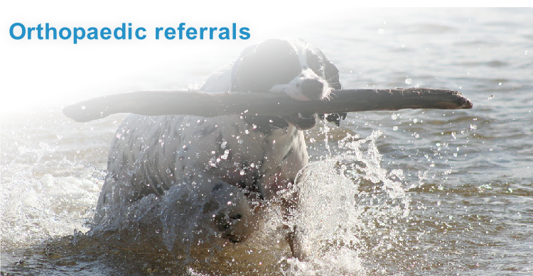 Orthopaedic referrals
