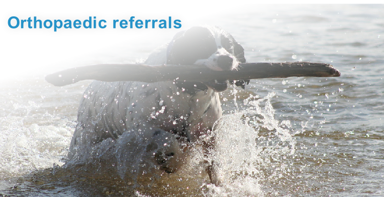 Orthopaedic referrals
