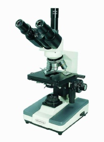 Referral, Greenmount, Veterinary, vet, disc, disease, prolpase, Orthopaedic, orthopedic, specialist, clinic, fractures, joint, surgery, arthroscopy, endoscopy, spinal, northern, ireland, OCD, FCP, TPO, cruciate ligament, tplo, hip, dysplasia, dislocation, medial, patellar, luxation, broken, leg, wobbler, caudal cervical spondylopathy, lumbar, paralysis,ACL, anterior cruciate ligament rupture, dislocated, dislocation, plating, pinning, external fixator, triple pelvic osteotomy, portadown, co armagh northern ireland, www.vetortho.co.uk, www.vetclinic.co.uk